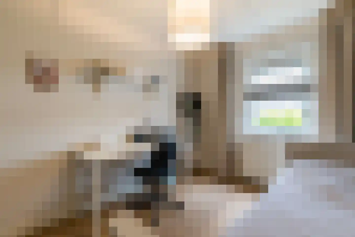Leeuwebek 1 Haaksbergen thumbnail 33