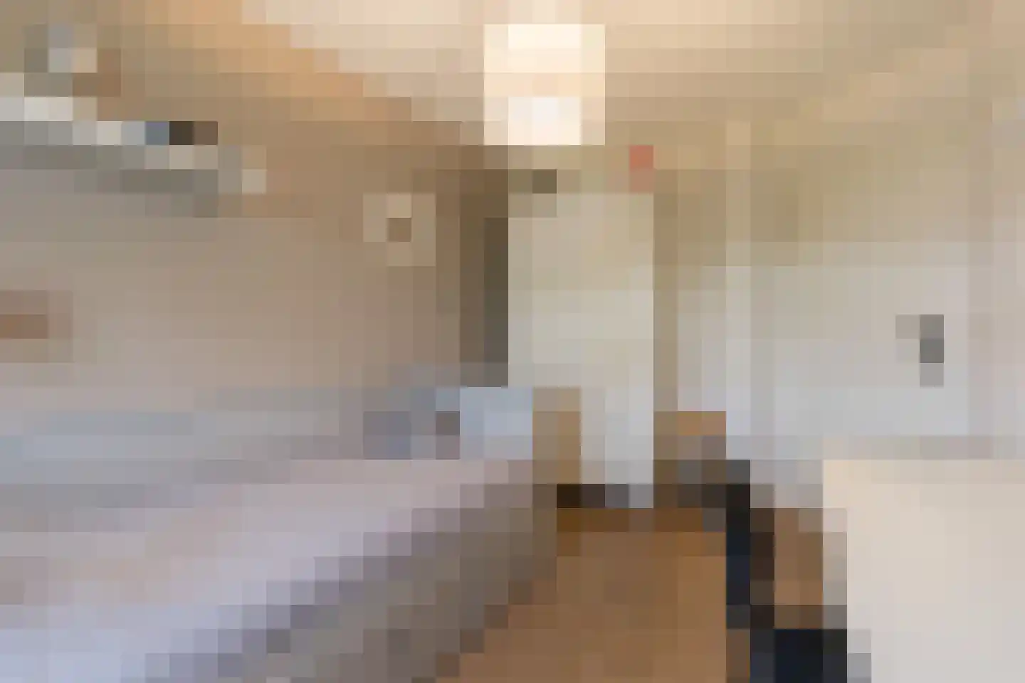 Leeuwebek 1 Haaksbergen thumbnail 34
