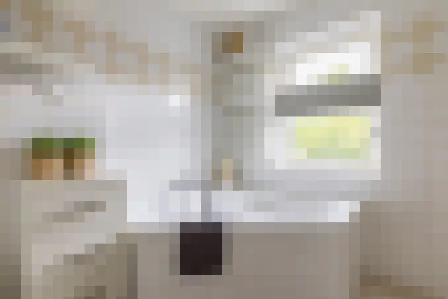 Leeuwebek 1 Haaksbergen thumbnail 35