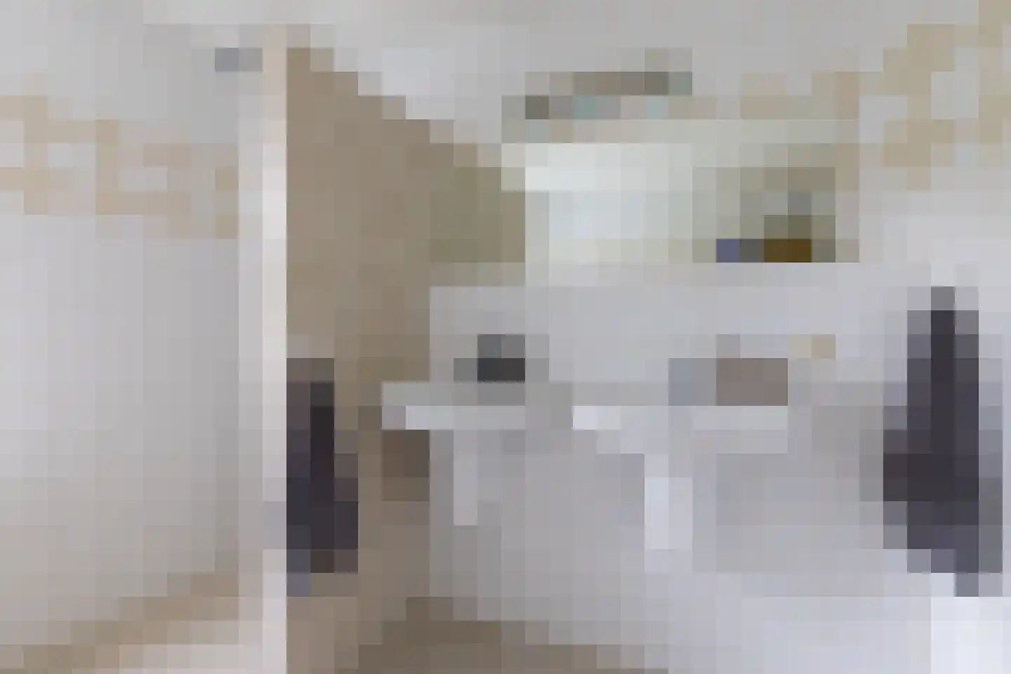 Leeuwebek 1 Haaksbergen thumbnail 36
