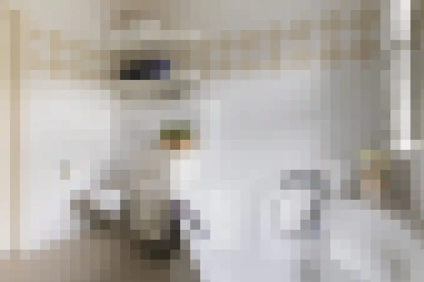 Leeuwebek 1 Haaksbergen thumbnail 37