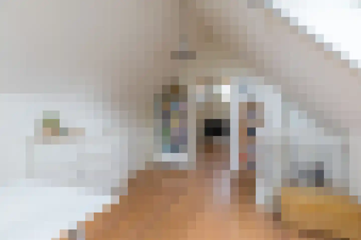 Leeuwebek 1 Haaksbergen thumbnail 41