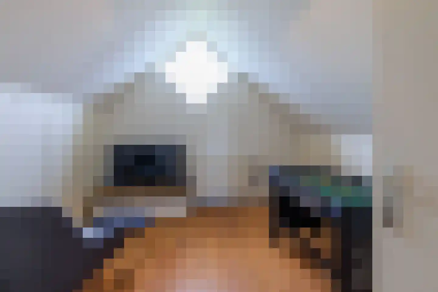 Leeuwebek 1 Haaksbergen thumbnail 42