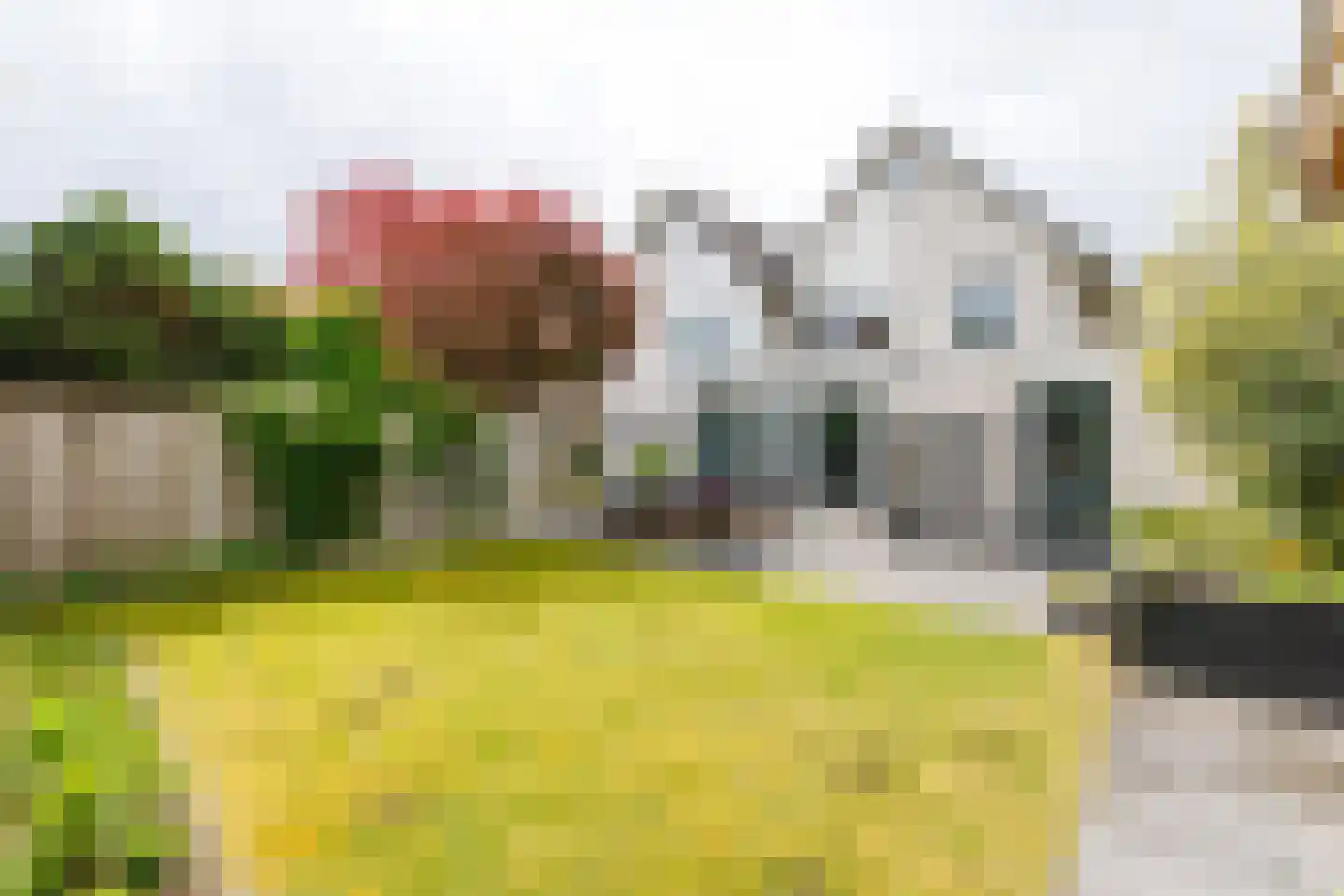 Leeuwebek 1 Haaksbergen thumbnail 44