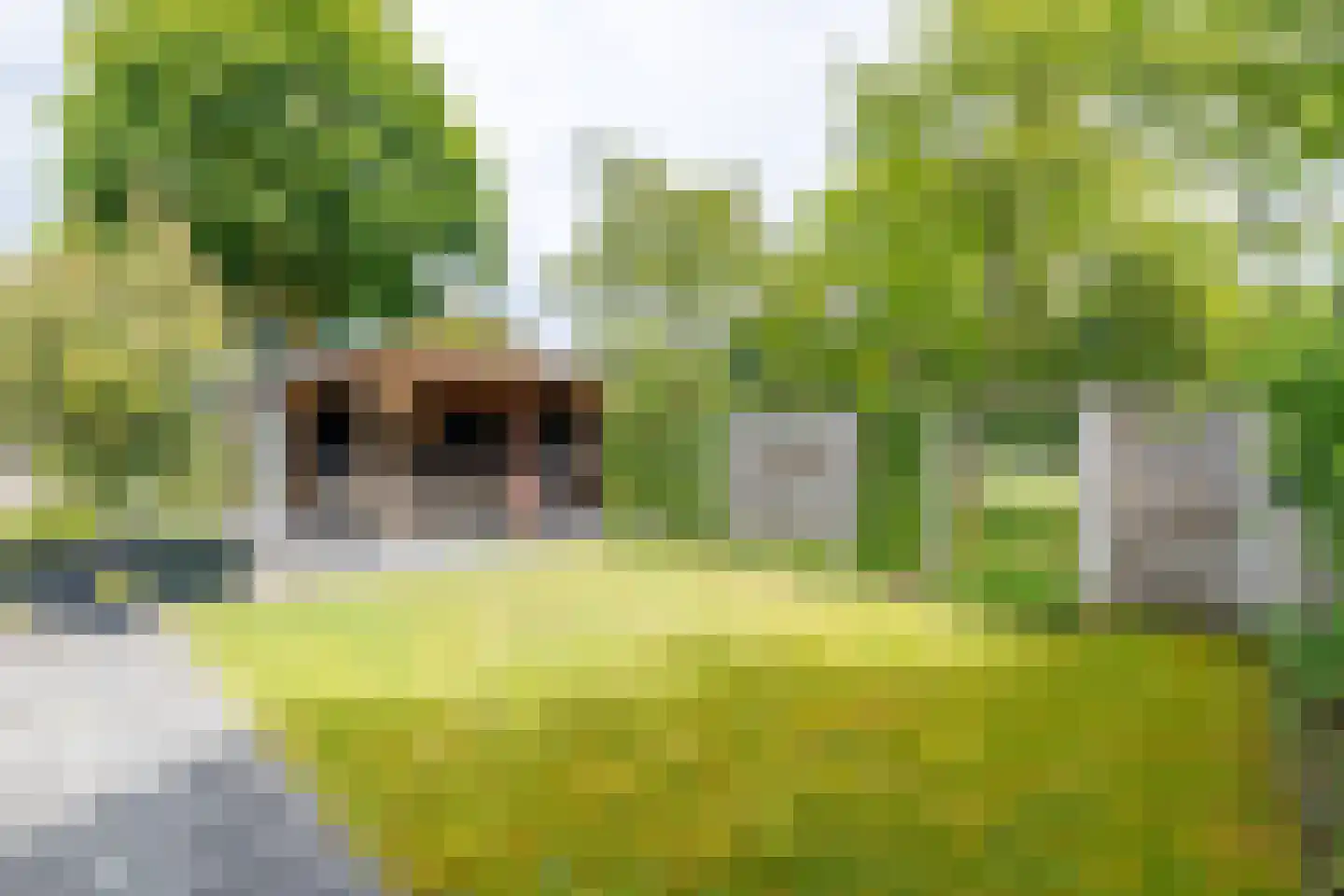 Leeuwebek 1 Haaksbergen thumbnail 46