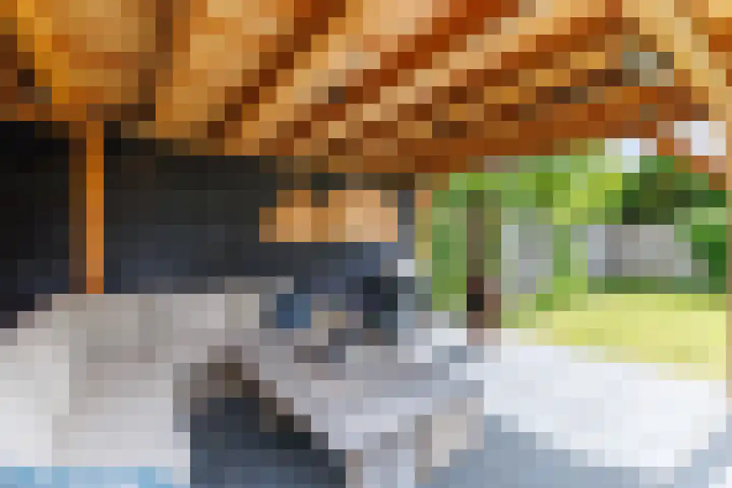 Leeuwebek 1 Haaksbergen thumbnail 47