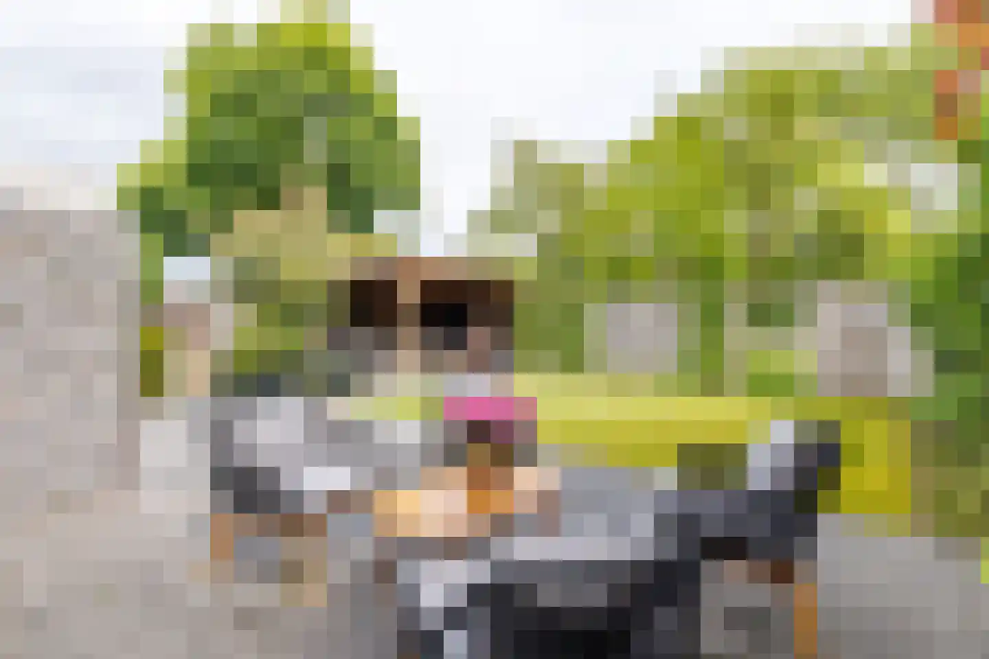 Leeuwebek 1 Haaksbergen thumbnail 48