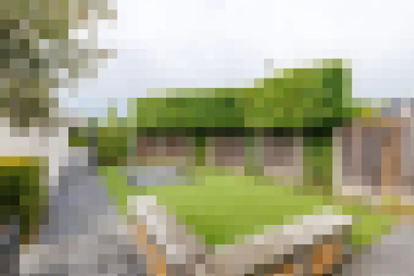 Leeuwebek 1 Haaksbergen thumbnail 49