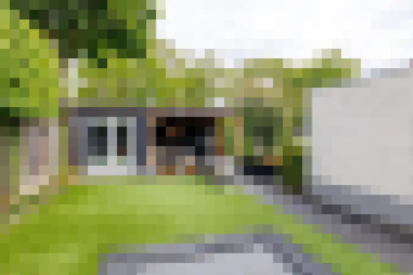 Leeuwebek 1 Haaksbergen thumbnail 50
