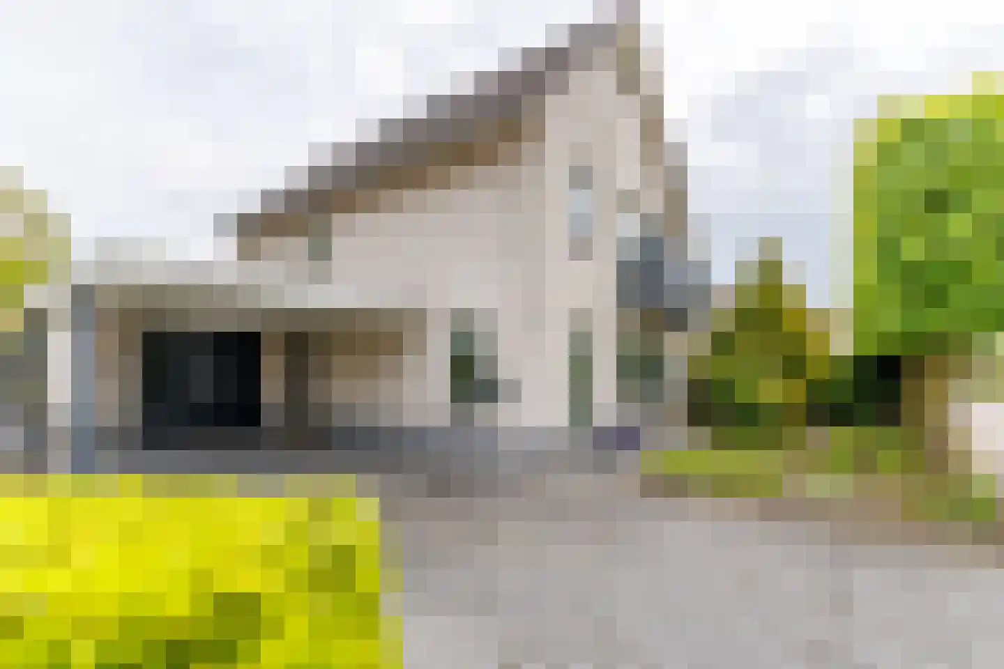 Leeuwebek 1 Haaksbergen thumbnail 6