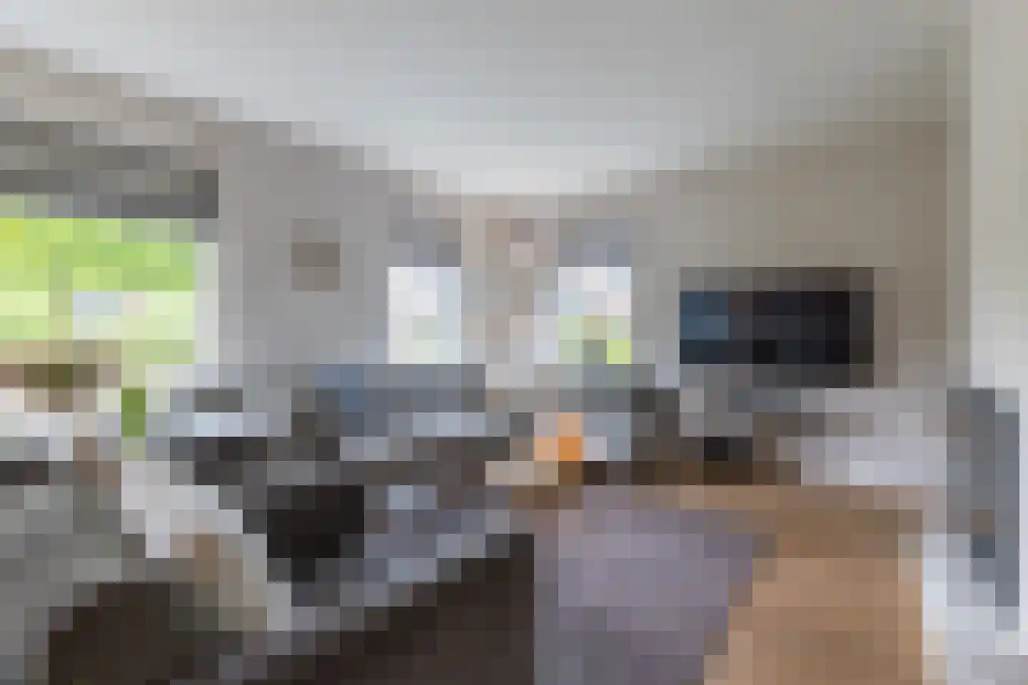 Leeuwebek 1 Haaksbergen thumbnail 7