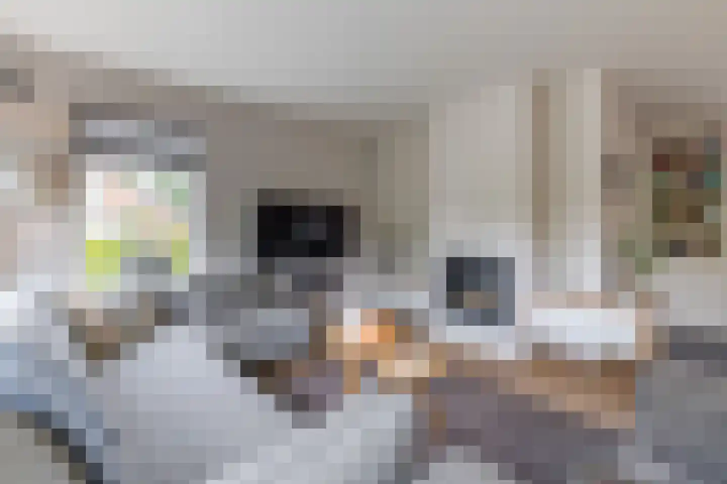 Leeuwebek 1 Haaksbergen thumbnail 8