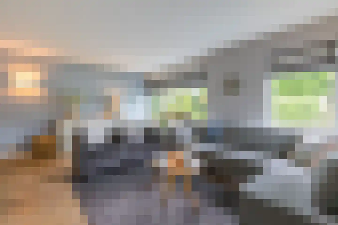 Leeuwebek 1 Haaksbergen thumbnail 9