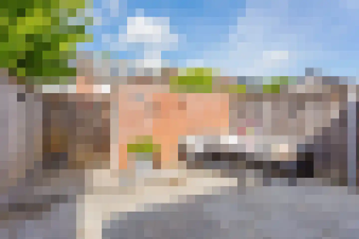 Leeuwebek 1 Oldenzaal thumbnail 19
