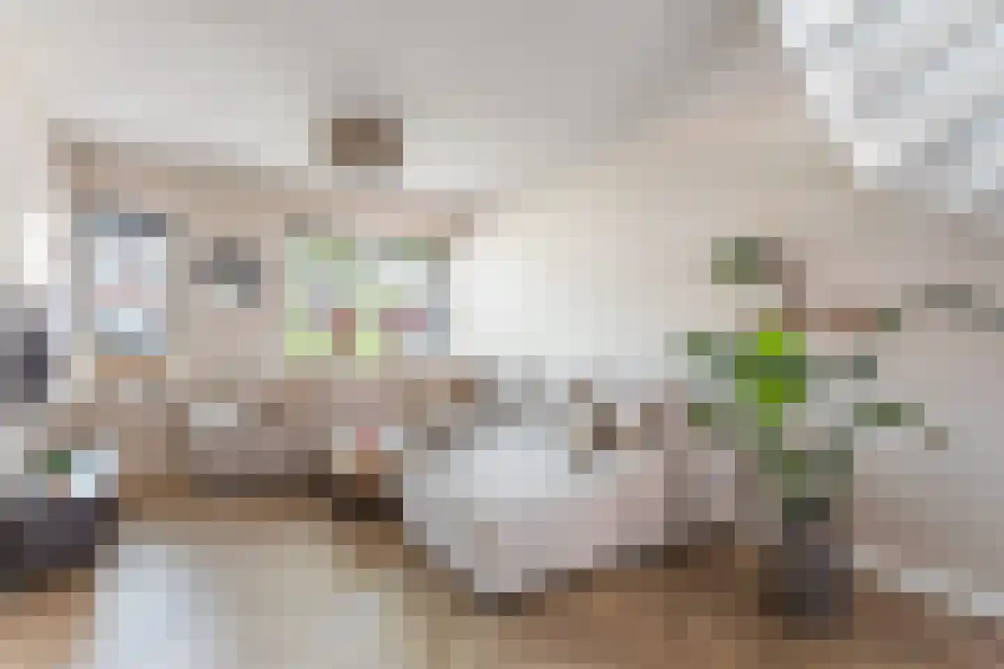 Leeuwebek 1 Oldenzaal thumbnail 6