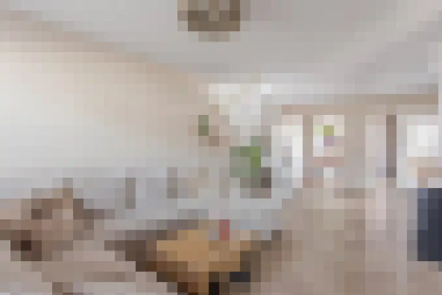 Leeuwebek 1 Oldenzaal thumbnail 8