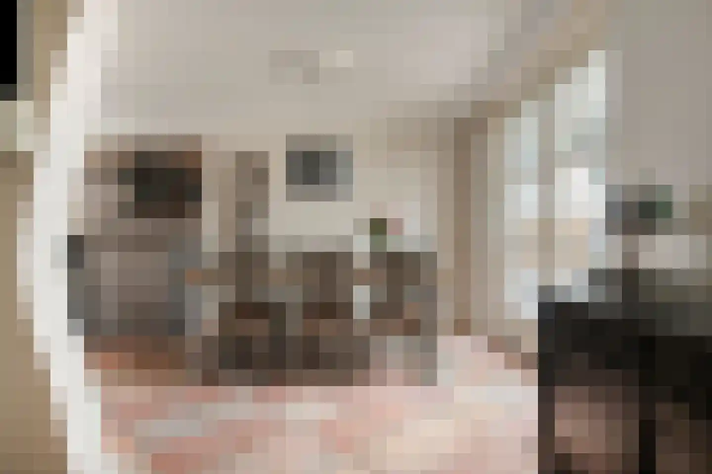 Leeuwebek 12 Wanroij thumbnail 10