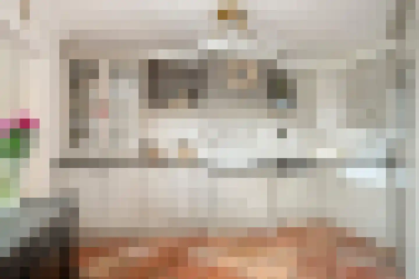 Leeuwebek 12 Wanroij thumbnail 13
