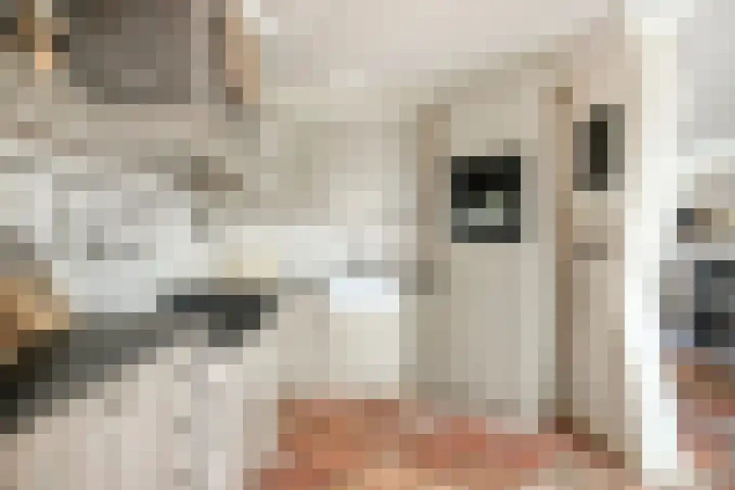 Leeuwebek 12 Wanroij thumbnail 14