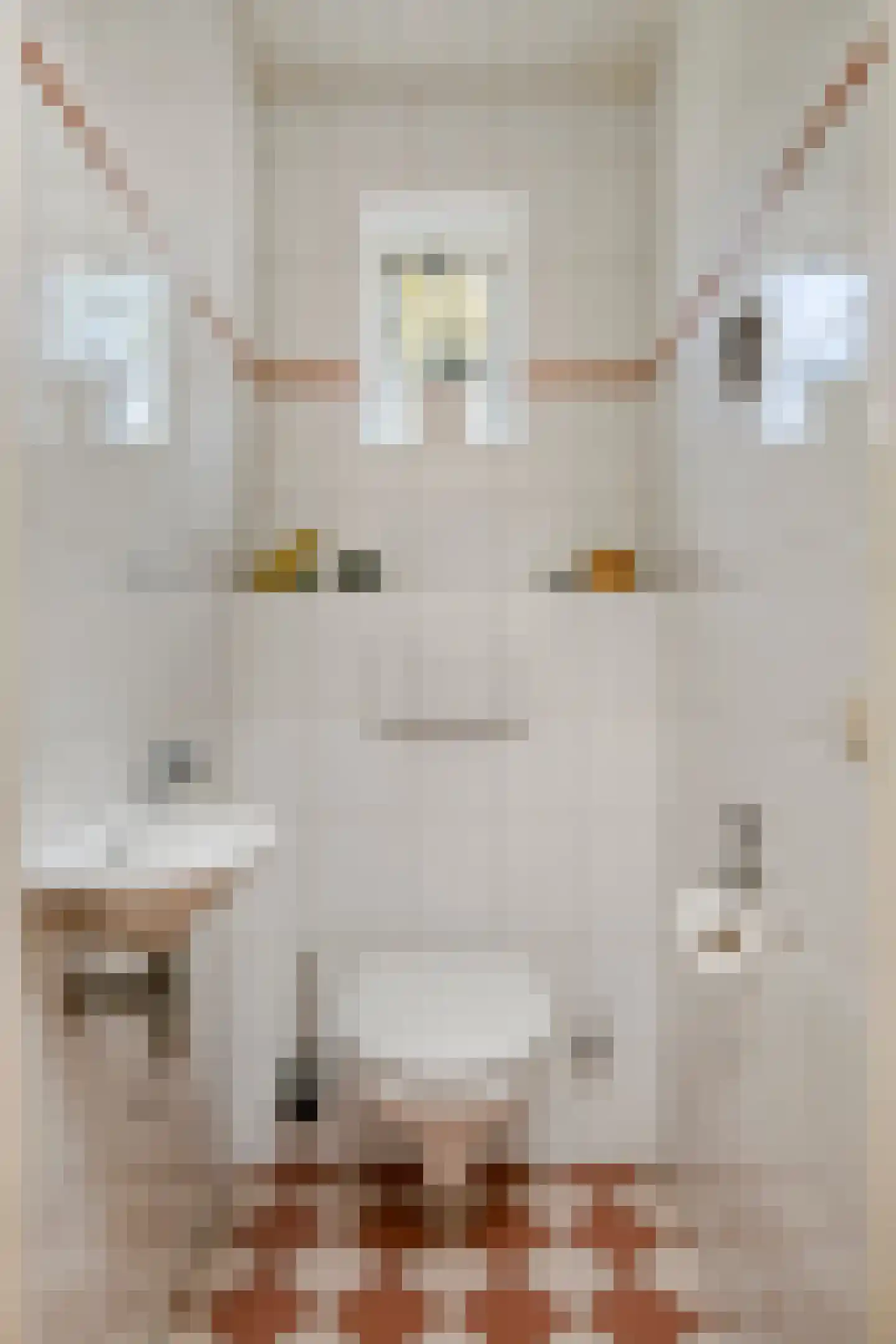 Leeuwebek 12 Wanroij thumbnail 18