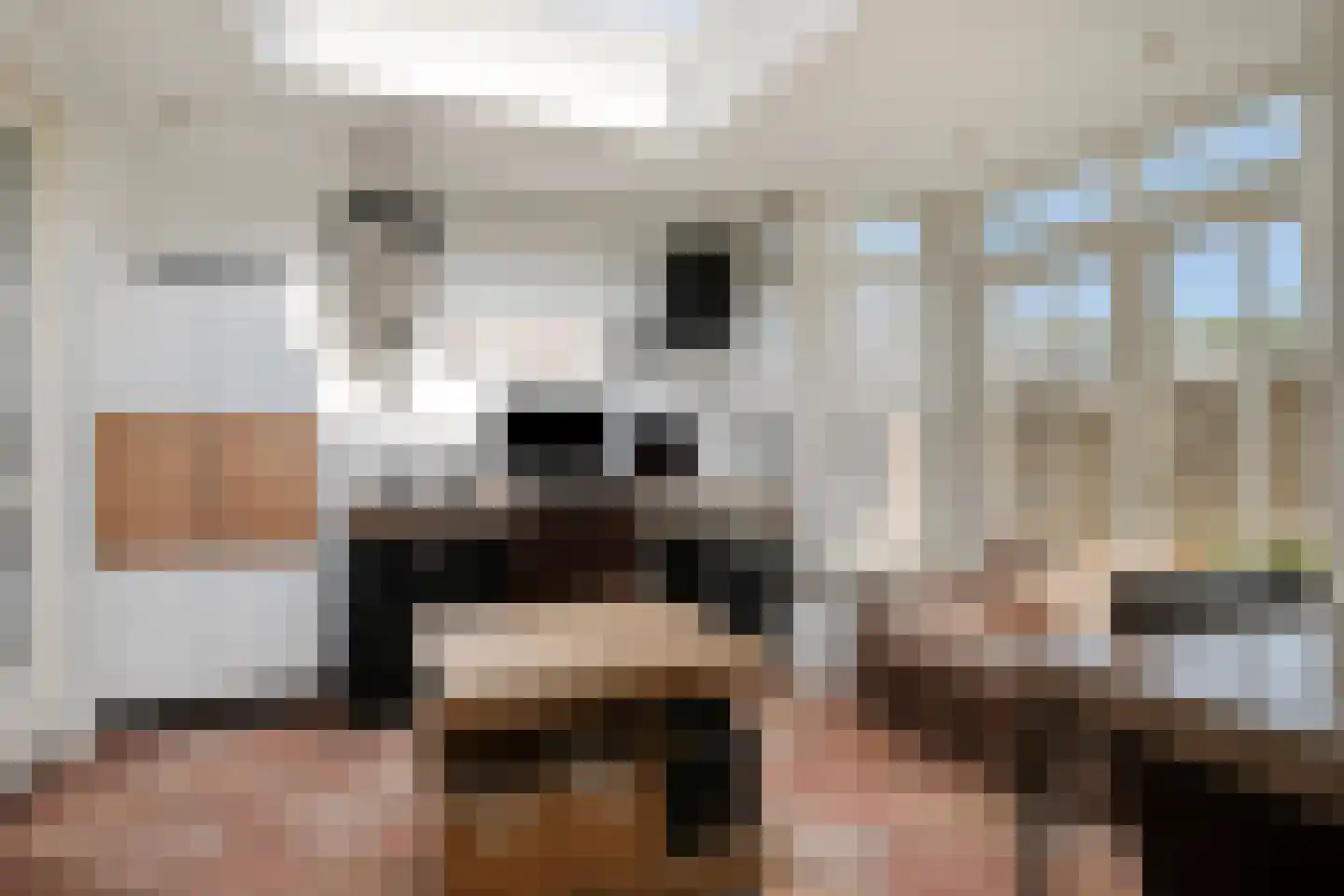 Leeuwebek 12 Wanroij thumbnail 19