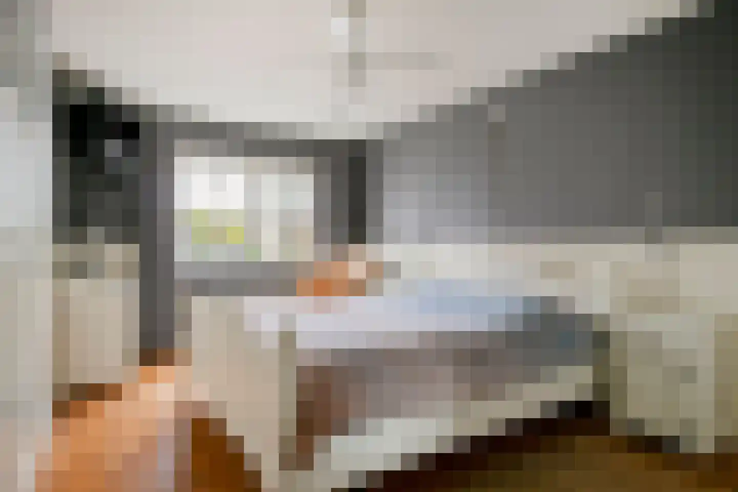 Leeuwebek 12 Wanroij thumbnail 26