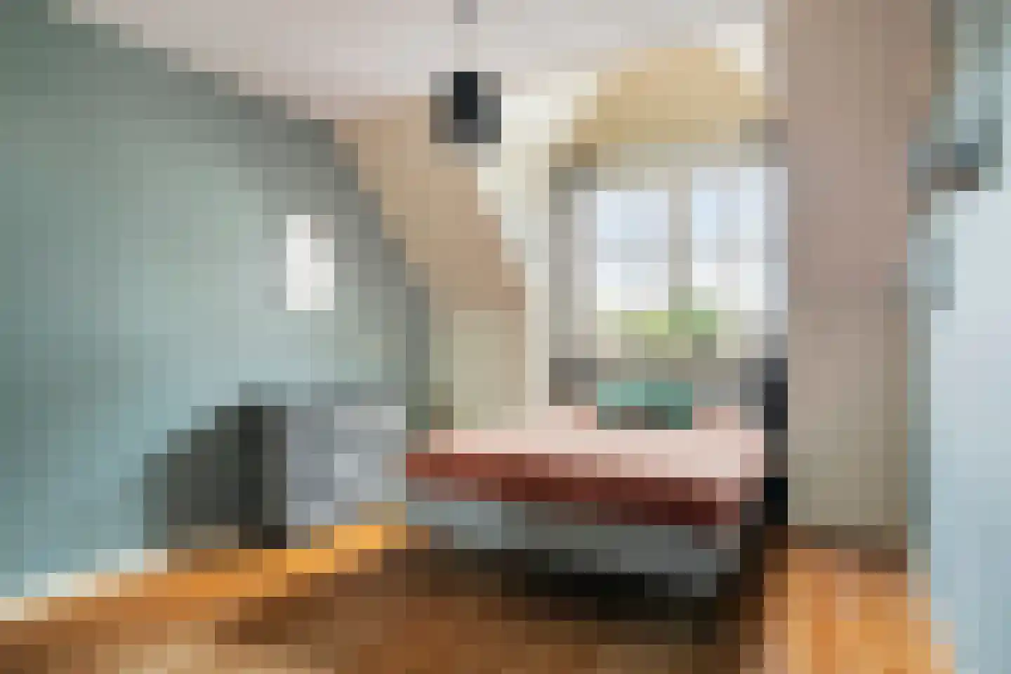 Leeuwebek 12 Wanroij thumbnail 28
