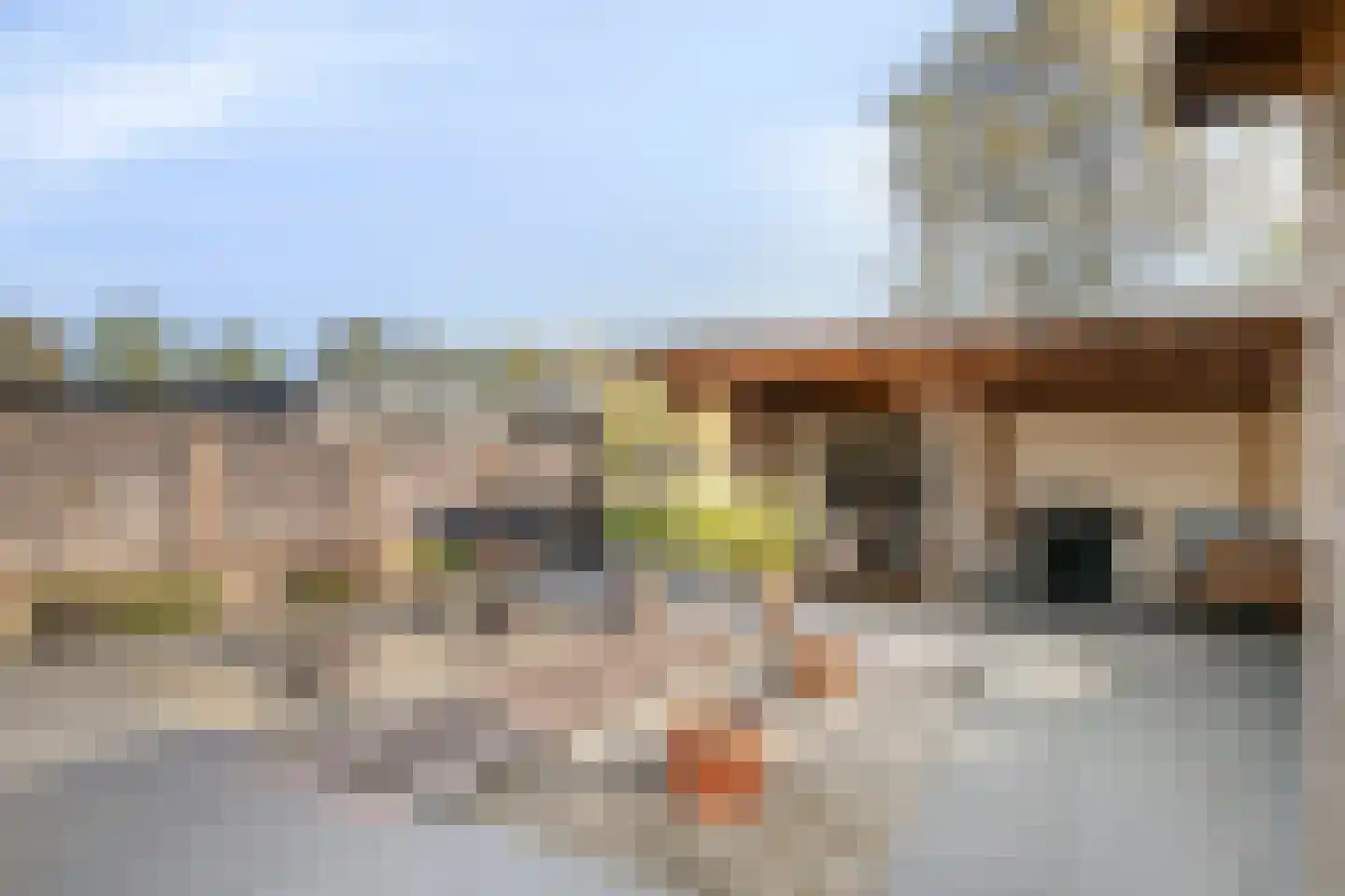 Leeuwebek 12 Wanroij thumbnail 39