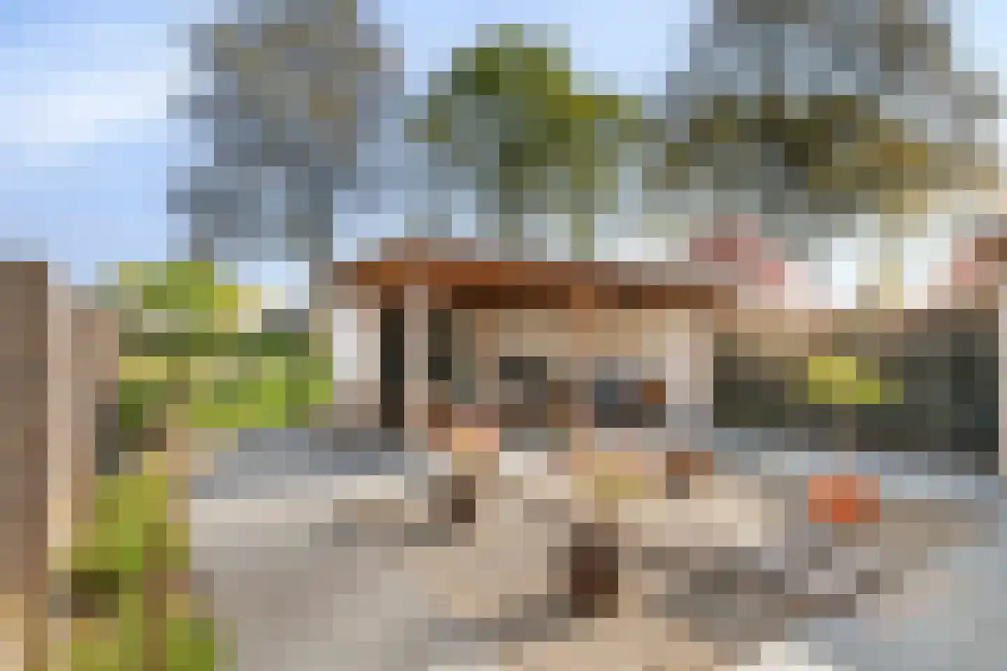 Leeuwebek 12 Wanroij thumbnail 41