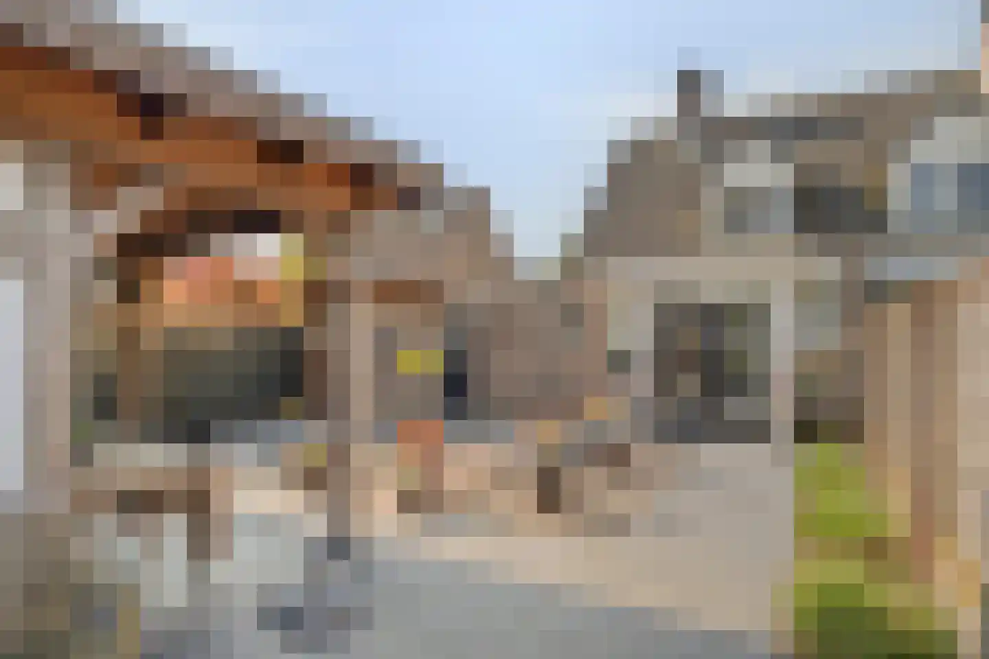 Leeuwebek 12 Wanroij thumbnail 43