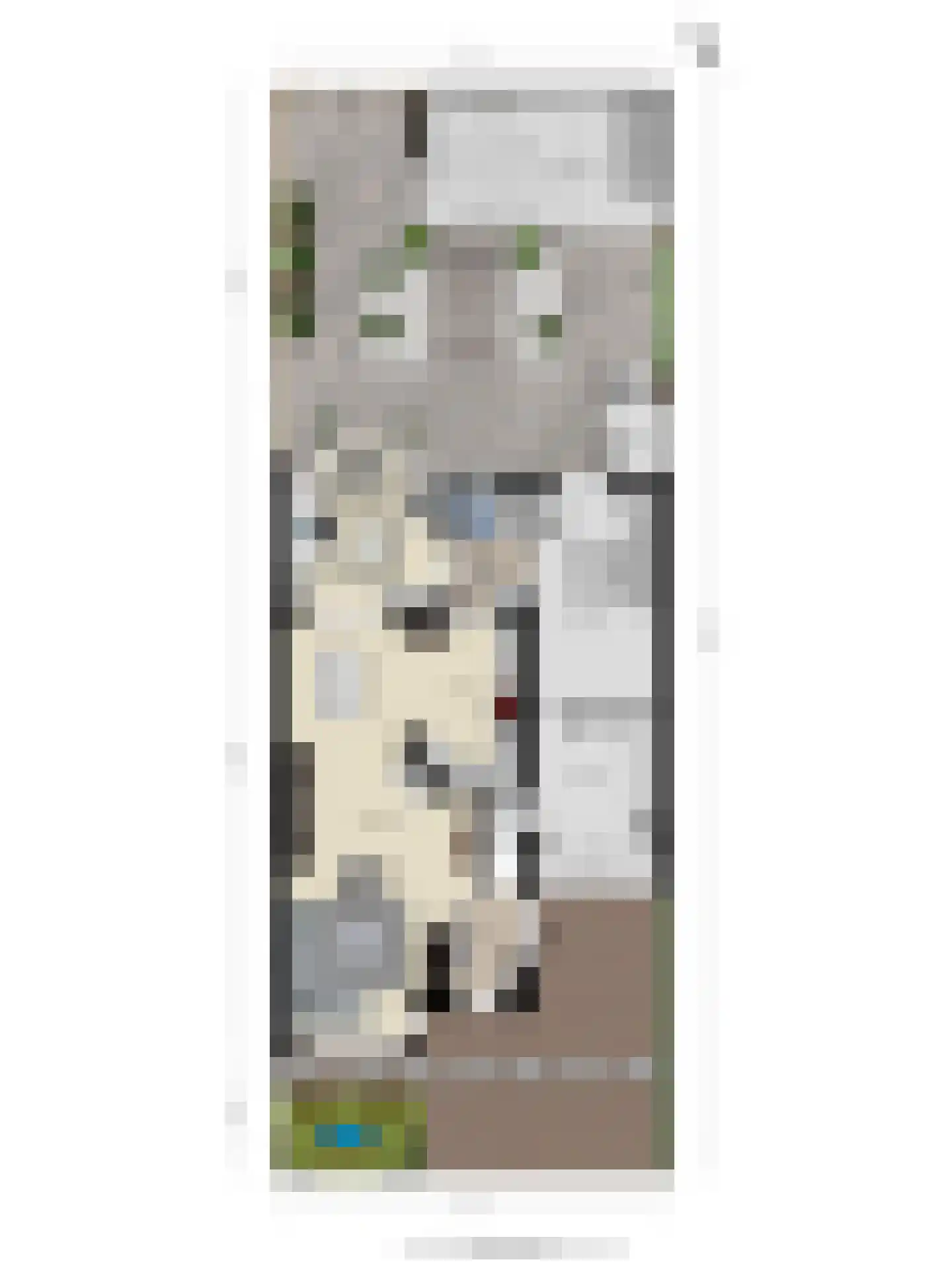 Leeuwebek 12 Wanroij thumbnail 46