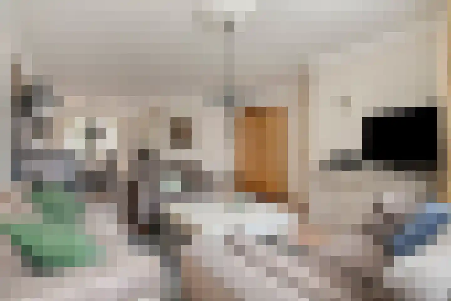 Leeuwebek 12 Wanroij thumbnail 7