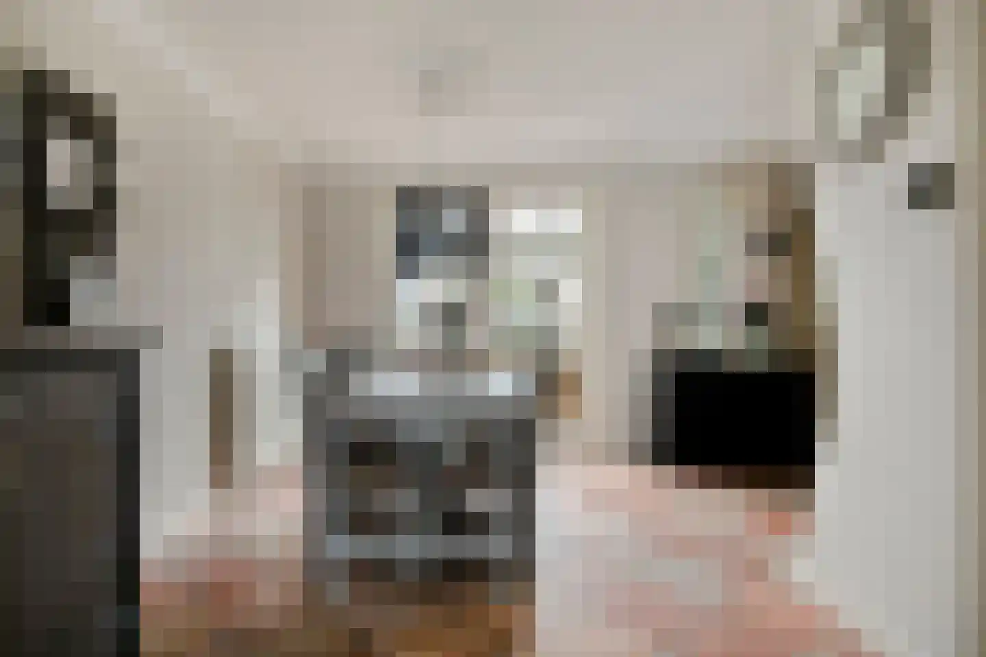 Leeuwebek 12 Wanroij thumbnail 9