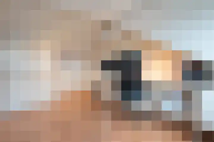 Leeuwebek 16 Oldenzaal thumbnail 17