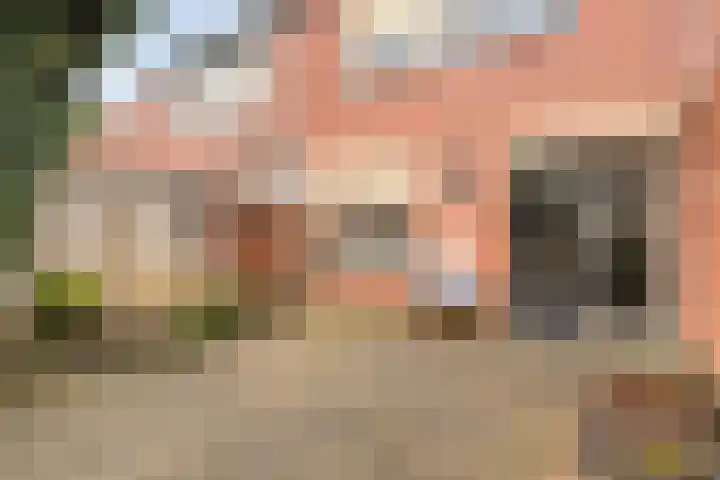 Leeuwebek 16 Oldenzaal thumbnail 18