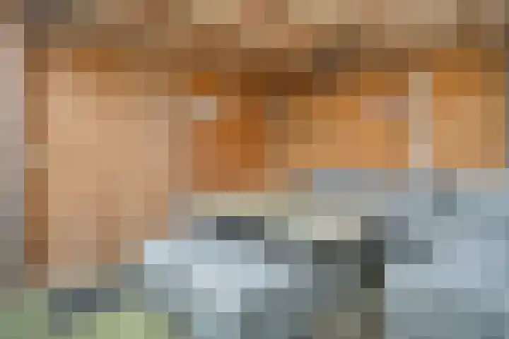 Leeuwebek 16 Oldenzaal thumbnail 20