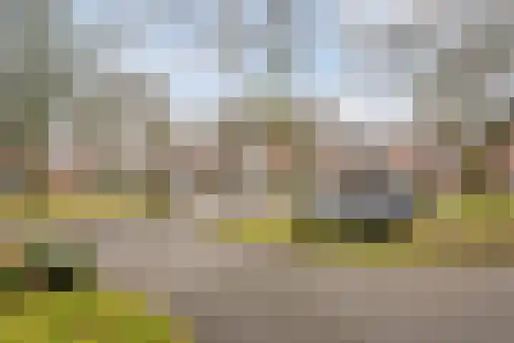 Leeuwebek 16 Oldenzaal thumbnail 22