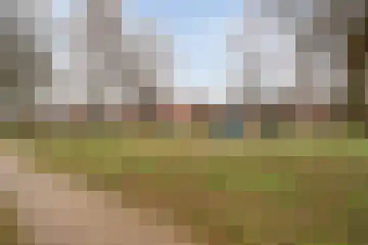 Leeuwebek 16 Oldenzaal thumbnail 23