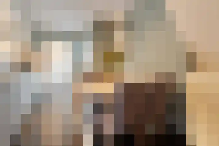 Leeuwebek 16 Oldenzaal thumbnail 5