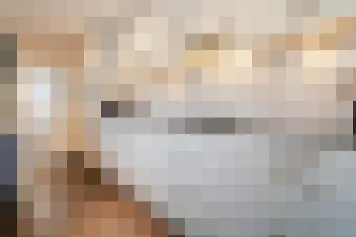 Leeuwebek 16 Oldenzaal thumbnail 6