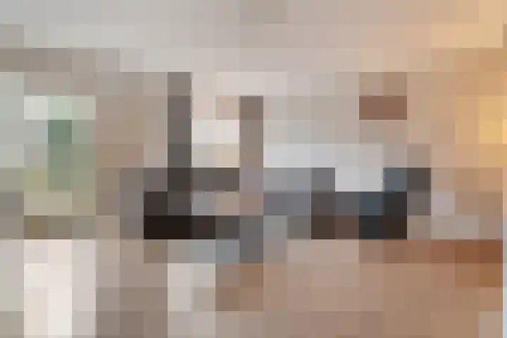 Leeuwebek 16 Oldenzaal thumbnail 8