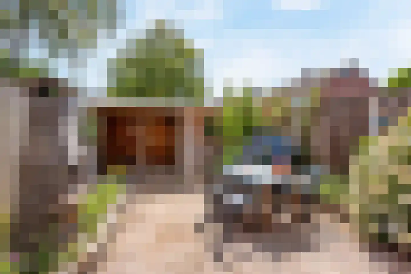 Leeuwebek 18 Oldenzaal thumbnail 18