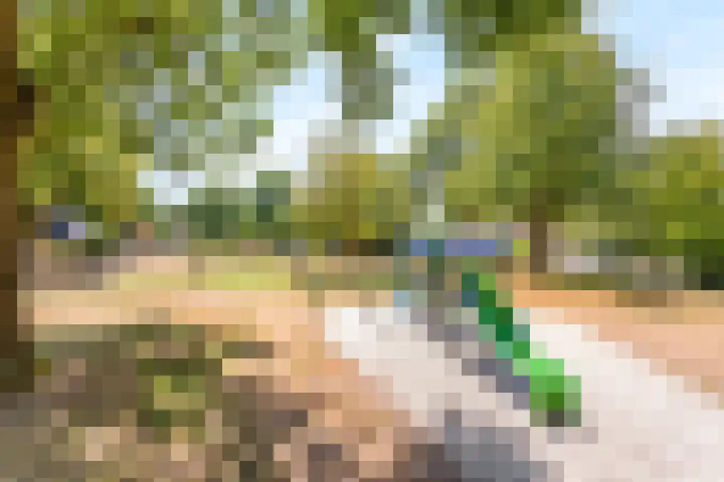 Leeuwebek 18 Oldenzaal thumbnail 19