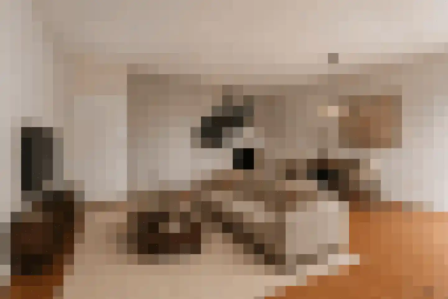 Leeuwebek 18 Oldenzaal thumbnail 8