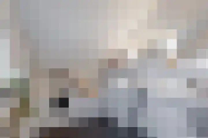 Leeuwebek 19 Oldenzaal thumbnail 13