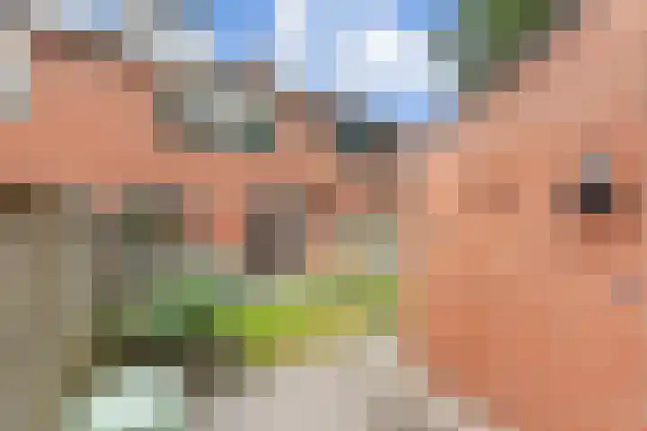 Leeuwebek 19 Oldenzaal thumbnail 19