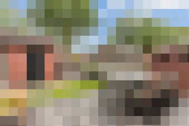 Leeuwebek 19 Oldenzaal thumbnail 20