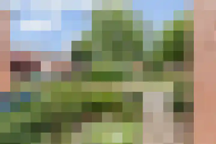 Leeuwebek 19 Oldenzaal thumbnail 6