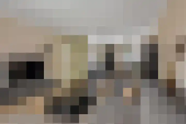 Leeuwebek 19 Oldenzaal thumbnail 8