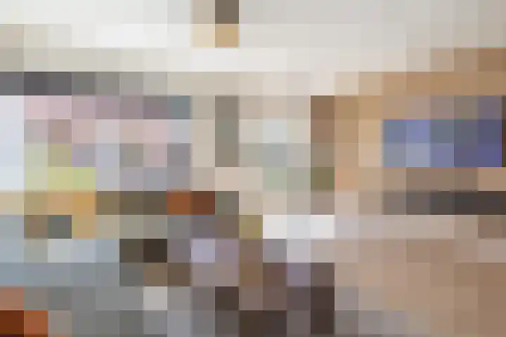 Leeuwebek 2 Oldenzaal thumbnail 10